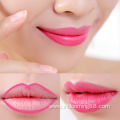 Waterproof Matte Makeup Private Label Lip Liner Lipstick